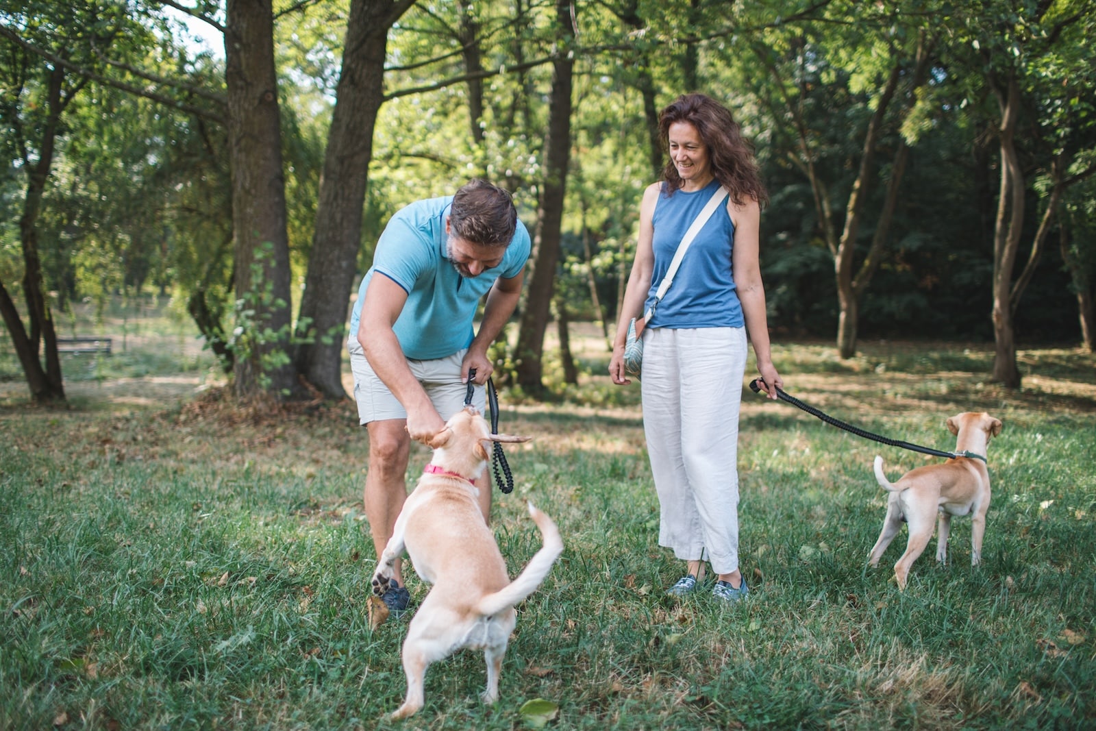 happy couple hiking in Iowa with their two dogs 