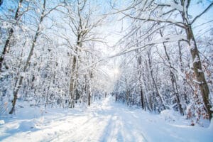Romantic Winter Getaways in Iowa for couples in the stunning winter wonderland